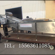  蒼山縣雙福蔬菜加工廠 主營 保鮮牛蒡 腌制牛蒡