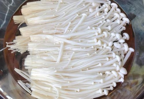 番茄配腌制鹽 營養翻倍的健康佳肴